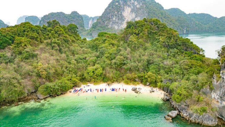 from-ninh-binh-bai-tu-long-bay-swan-cruise-2-3-days-trip