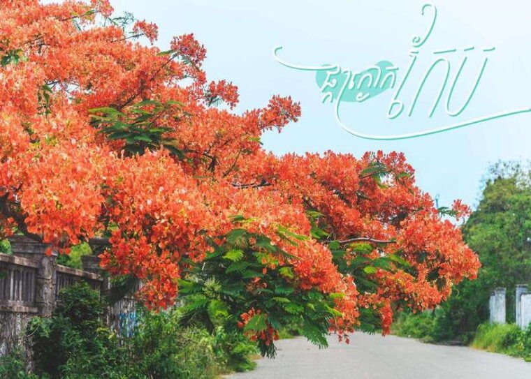 from-phnom-penh-kampot-and-kep-day-trip-with-english-guide