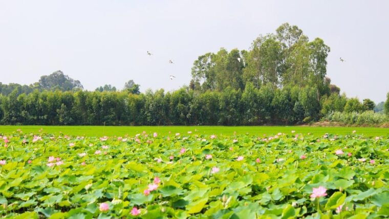 from-phu-quoc-mekong-delta-floating-market-3-day-exit-hcm