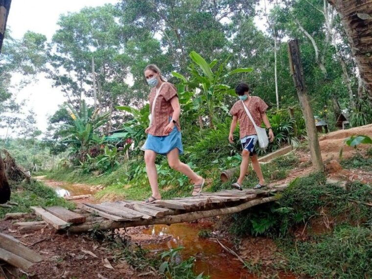 from-phuket-ethical-elephant-interactive-trek-and-tour