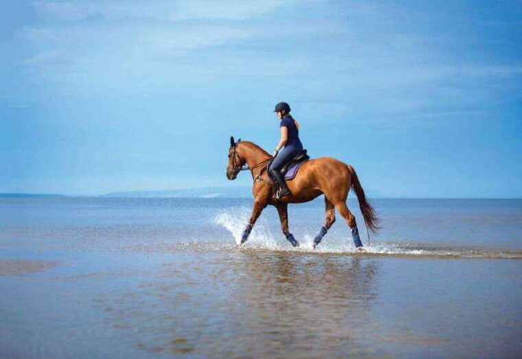 from-pokhara-unforgettable-horseback-riding-adventure