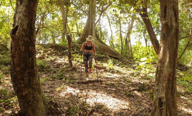 from-puerto-vallarta-2-hour-guided-sierra-vallejo-hike