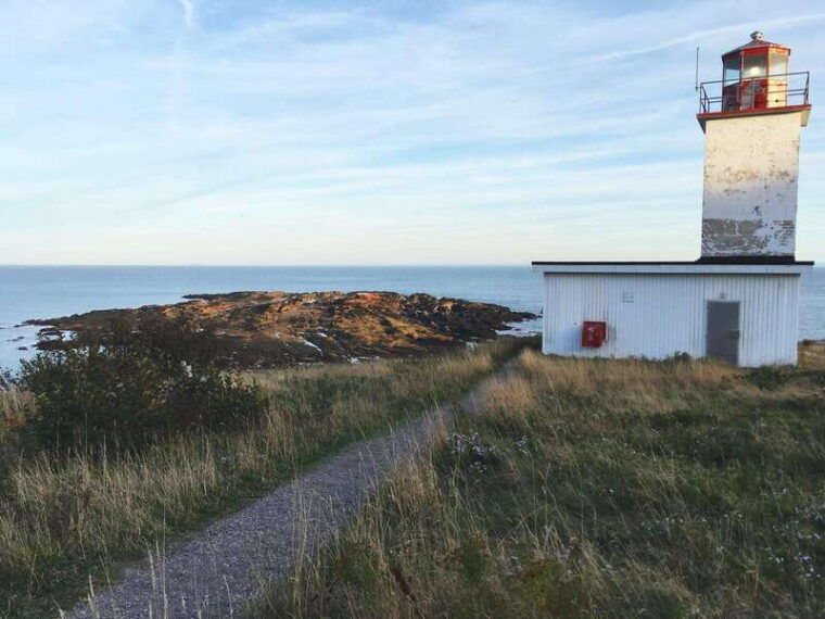 from-saint-john-bay-of-fundy-bus-trip-for-cruise-passengers