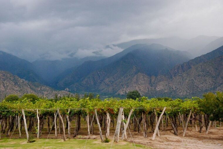 from-salta-cafayate-and-the-imposing-quebrada-de-las-conchas