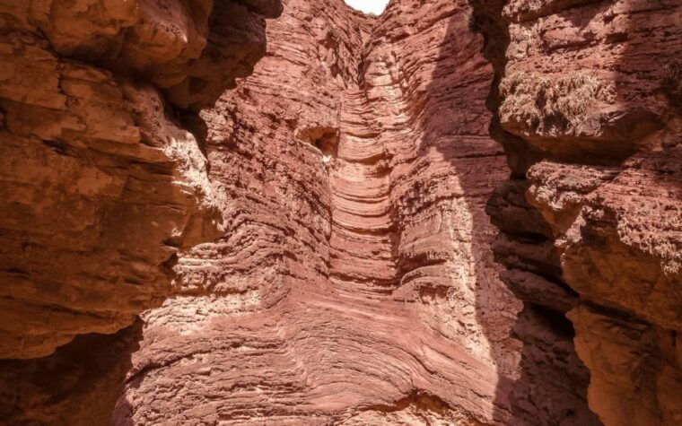 from-salta-full-day-excursions-through-cafayate-and-cachi