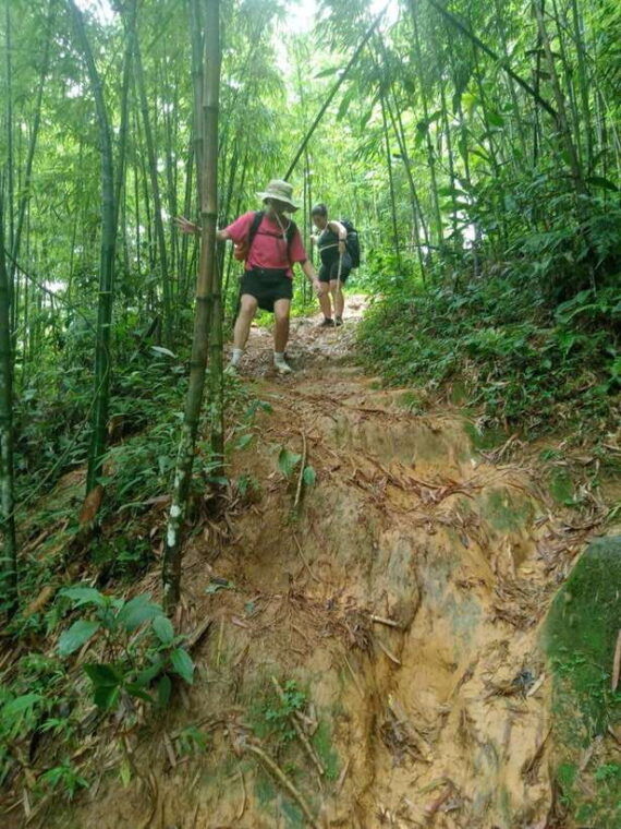 from-sapa-2-day-fansipan-peak-trekking-tour