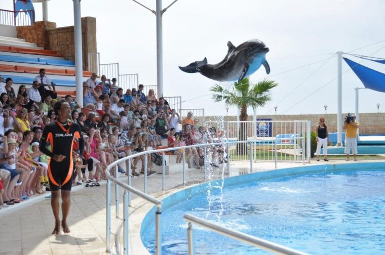 from-side-dolphin-and-seal-show-ticket-with-hotel-transfers