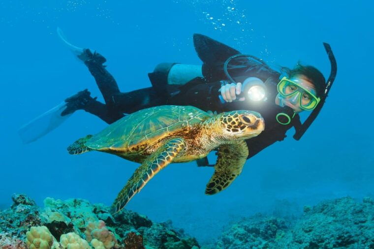 from-side-scuba-diving-explore-the-depths