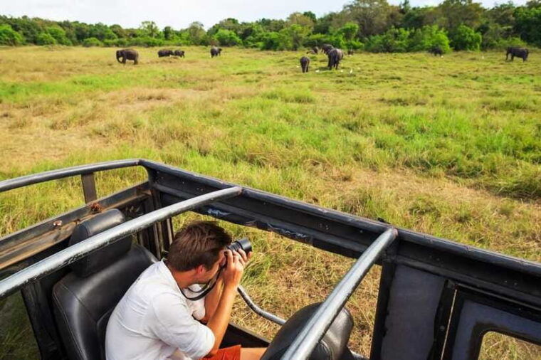 from-sigiriya-6-day-sri-lanka-tour-with-yala-safari