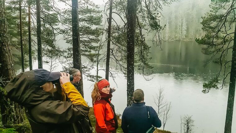 from-stockholm-wildlife-safari-with-campfire-dinner