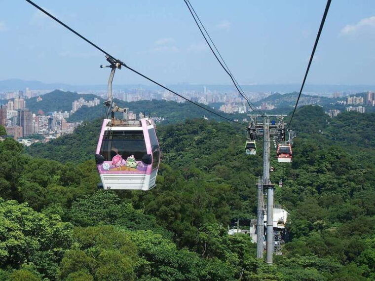 from-taipei-pinglin-tea-culture-and-maokong-guided-day-tour