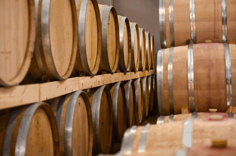 from-thessaloniki-pella-edessa-naousa-wine-tasting