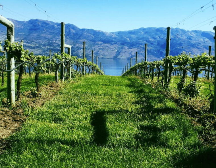 from-toronto-niagara-wine-tours