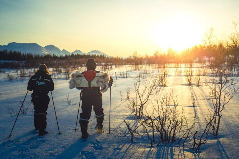 from-tromso-guided-husky-snowshoe-hike-and-husky-camp-visit