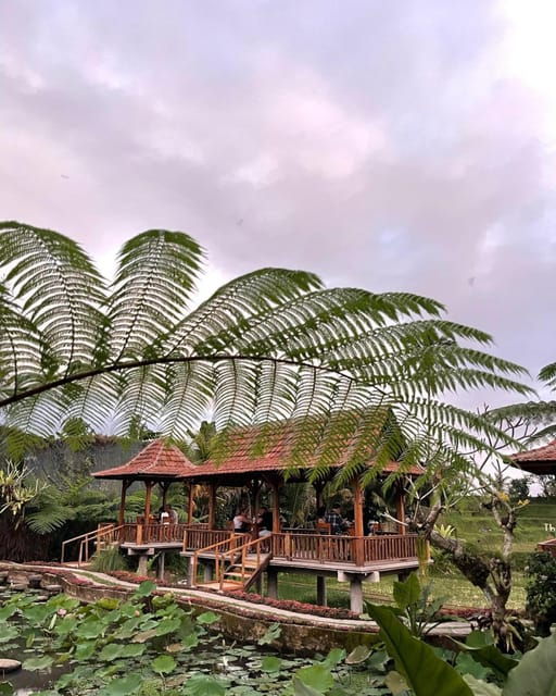 from-ubud-magical-village-tour-dinner-with-fireflies