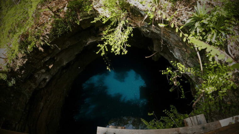 from-valladolid-chichen-itza-2-cenotes-collective-transport