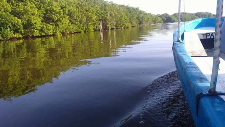 from-veracruz-nature-seafood-boat-tour-to-madinga