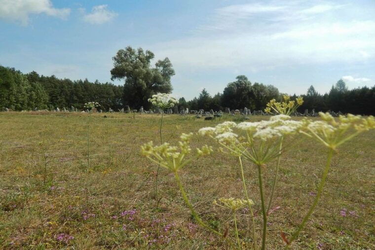 from-warsaw-treblinka-half-day-private-tour-with-car