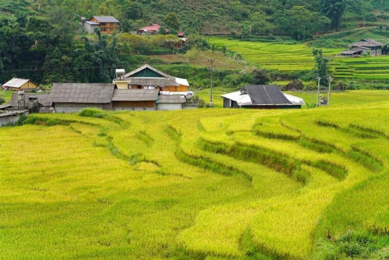 full-day-trekking-lao-chai-ta-van-and-cat-cat-village
