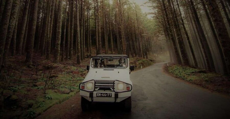 funchal-4x4-jeep-trip-to-the-east-and-northeast-of-madeira