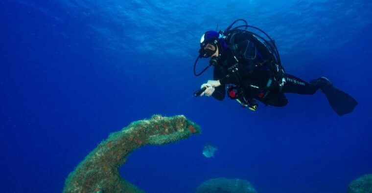 funchal-certified-scuba-diving-guided-tour