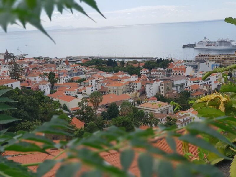 funchal-monte-and-old-town-tour-by-tuk-tuk
