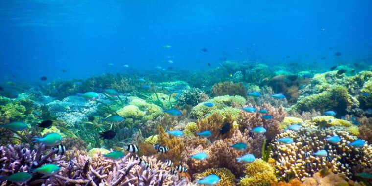 gili-air-trawangan-glass-bottom-boat-tour-with-snorkeling