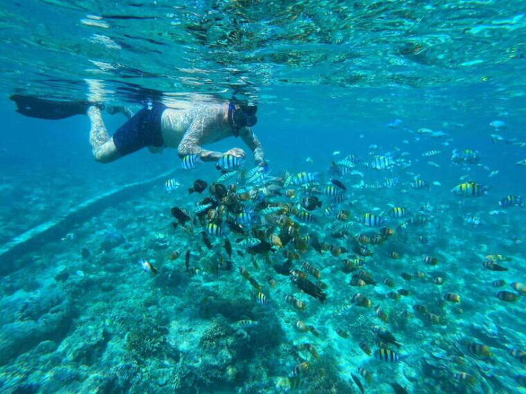 gili-islands-snorkeling-day-trip-with-private-speedboat
