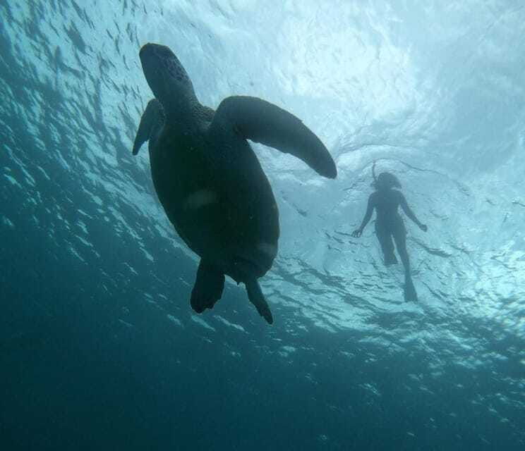 gili-t-private-snorkeling-trip-5-hours-3-gili