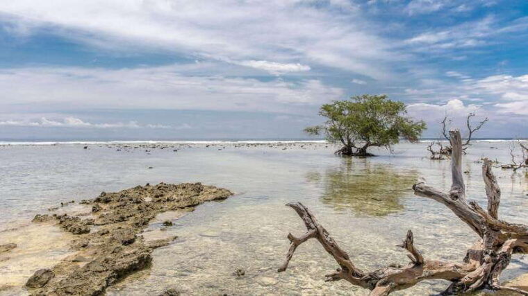 gili-trawangan-beach-horseback-riding-with-pickup-hotel