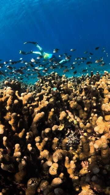 gili-trawangan-private-sharing-snorkeling-tour-3-gili