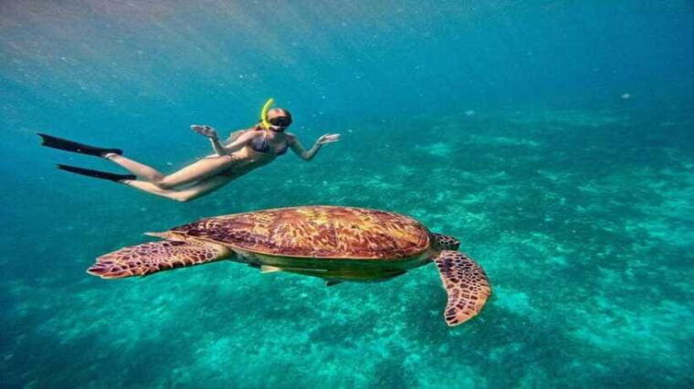 gili-trawangan-private-snorkeling-4-spot-with-gopro-camera