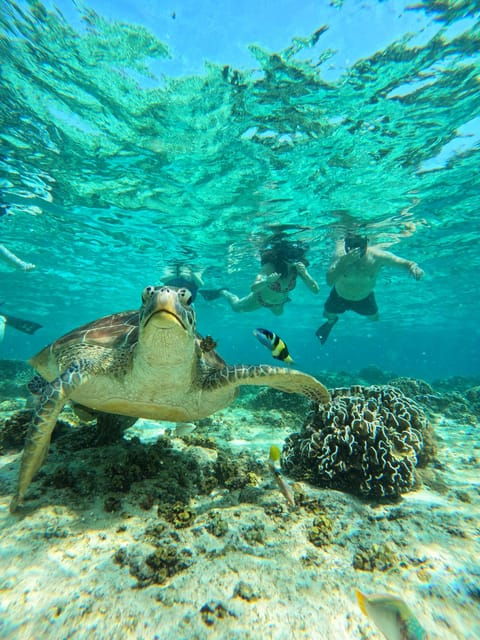 gili-trawangan-private-snorkeling-sunrise-and-sunset-tour