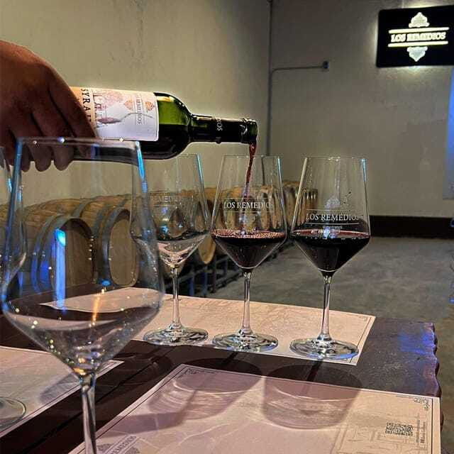 guanajuato-the-remedios-vineyard