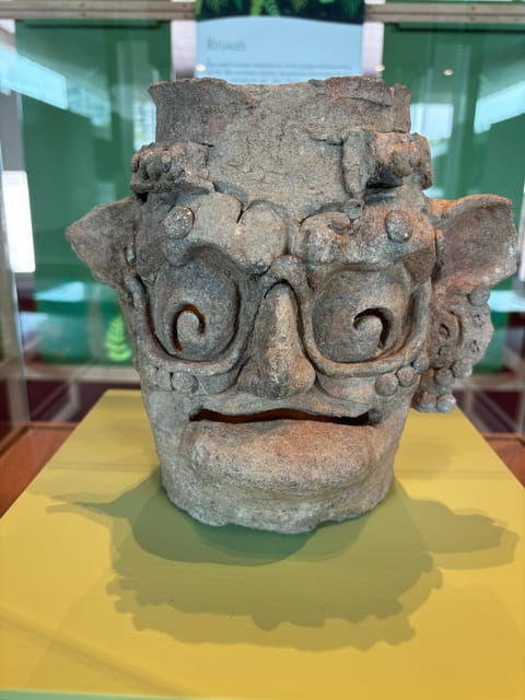 guided-tour-of-the-museum-of-anthropology