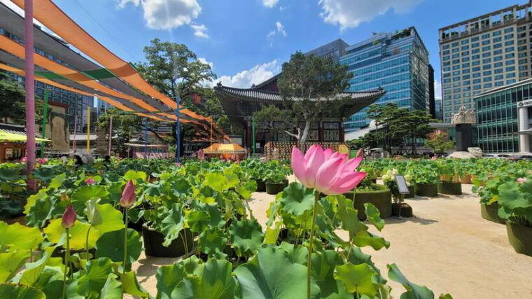 gyeongbokgung-palace-jogyesa-temple-and-cheongwadae-tour