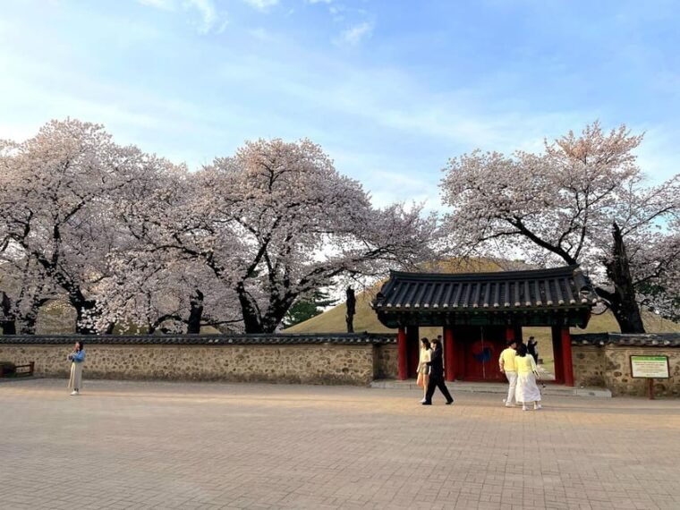 gyeongju-unesco-highlights-tour-with-guide-and-ticket