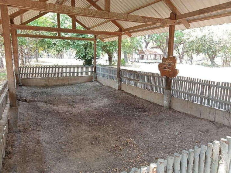 half-day-trip-to-s21-prison-genocidal-museum-killing-field