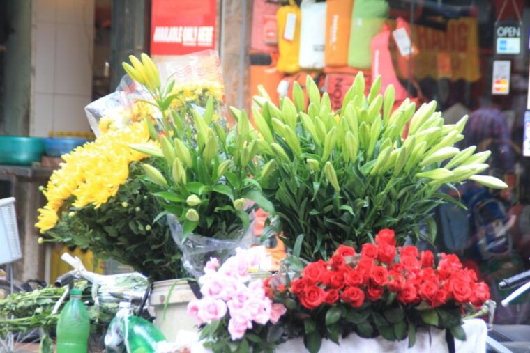 hanoi-city-day-tour-with-lunch-tour-guide-tranfers-ticket