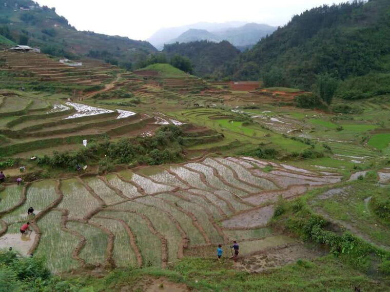 hanoi-sapa-3-day-homestay-trek-to-explore-ethnic-cultures