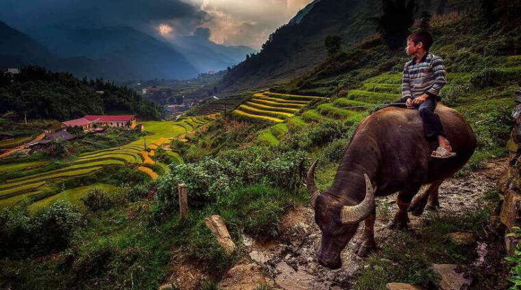 hanoi-sapa-cat-cat-fansipan-and-moana-3-day-2-night-trip