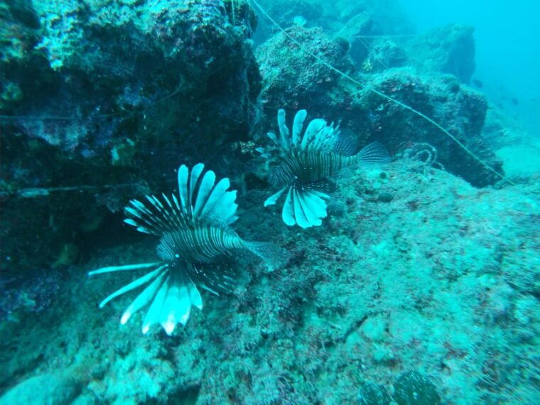 heraklion-beginner-friendly-snorkeling-trip