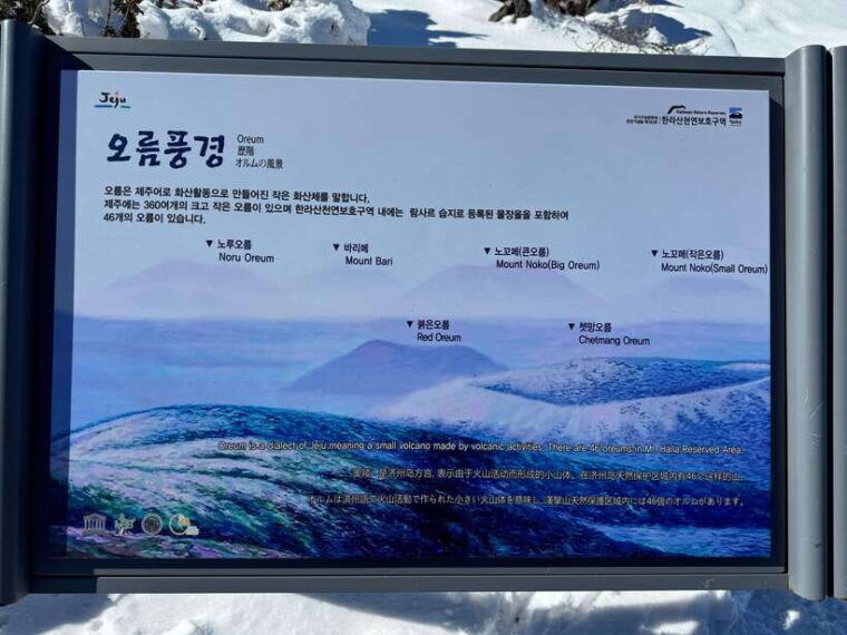 hike-hallasan-on-jeju-island-south-koreas-highest-mountain