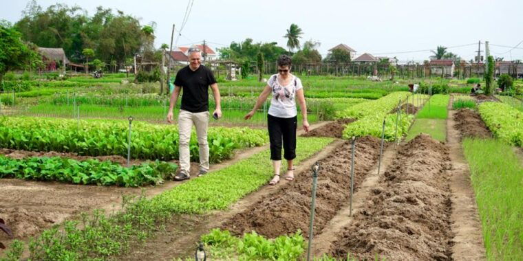 hoi-an-basket-boat-farming-and-cooking-class-in-tra-que