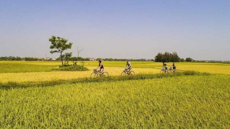 hoi-an-eco-bicycle-tour-with-fishing-and-lunch-dinner