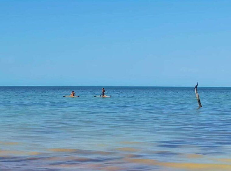 holbox-self-guided-tour-map-bike-sup-coffee-snack-incl