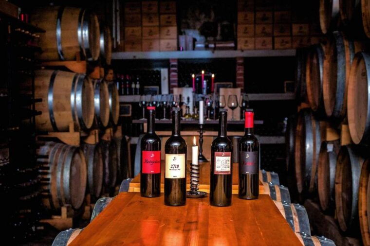 hvar-island-tour-with-wine-and-olive-oil-tasting