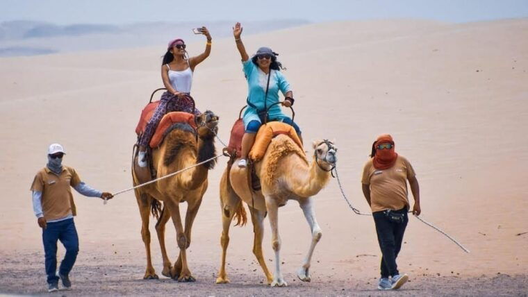 ica-huacachina-camel-ride-in-the-peruvian-desert