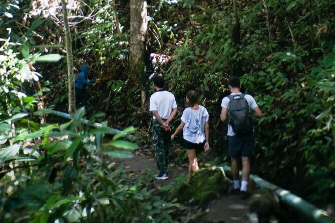Inthanon National Park Tour with Soft Hike at Pha Dok Siew Trail - Who Would Love This Tour?
