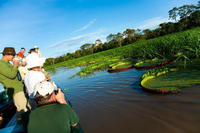 iquitos-3-days-and-2-nights-guided-amazon-jungle-tour